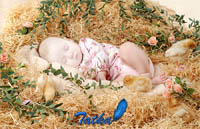 http://mirphotoshopa.at.ua/ramki/3422141_large.jpg